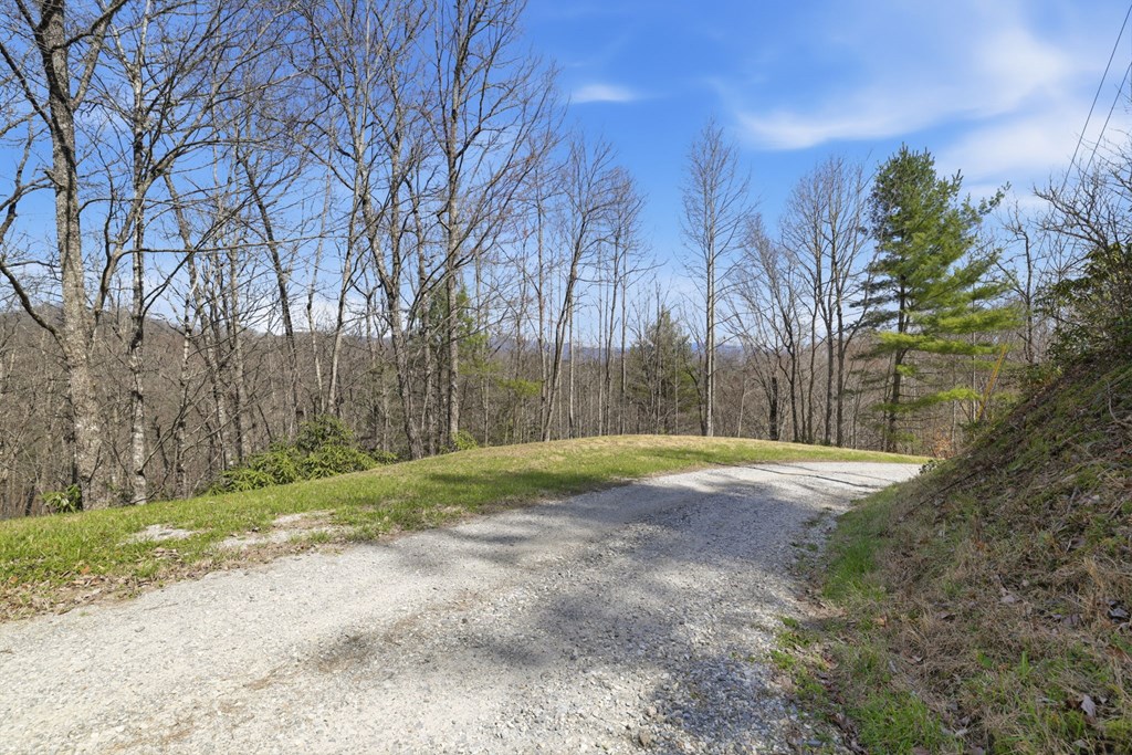 0 Double Springs Drive