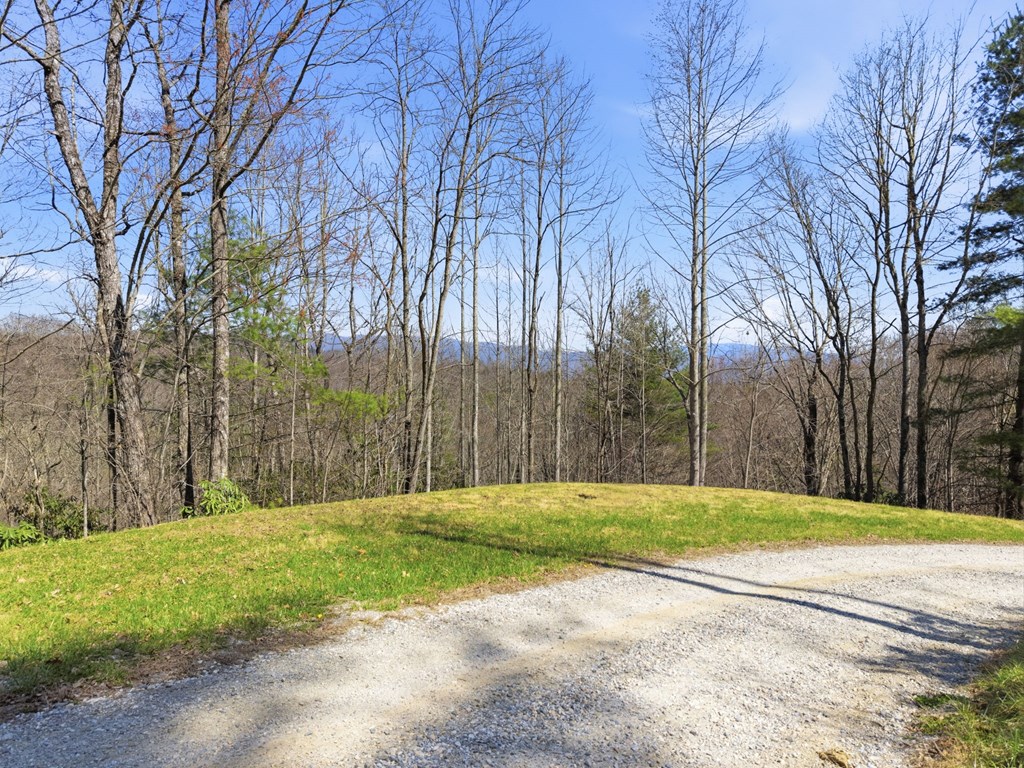 0 Double Springs Drive