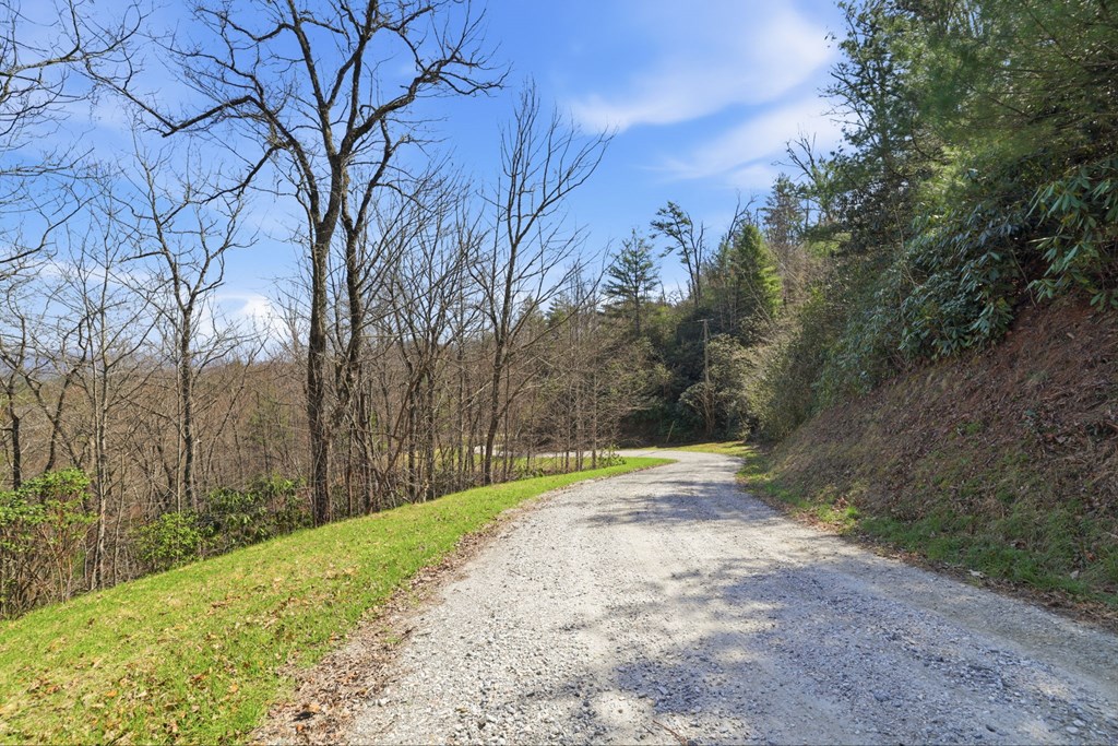 0 Double Springs Drive