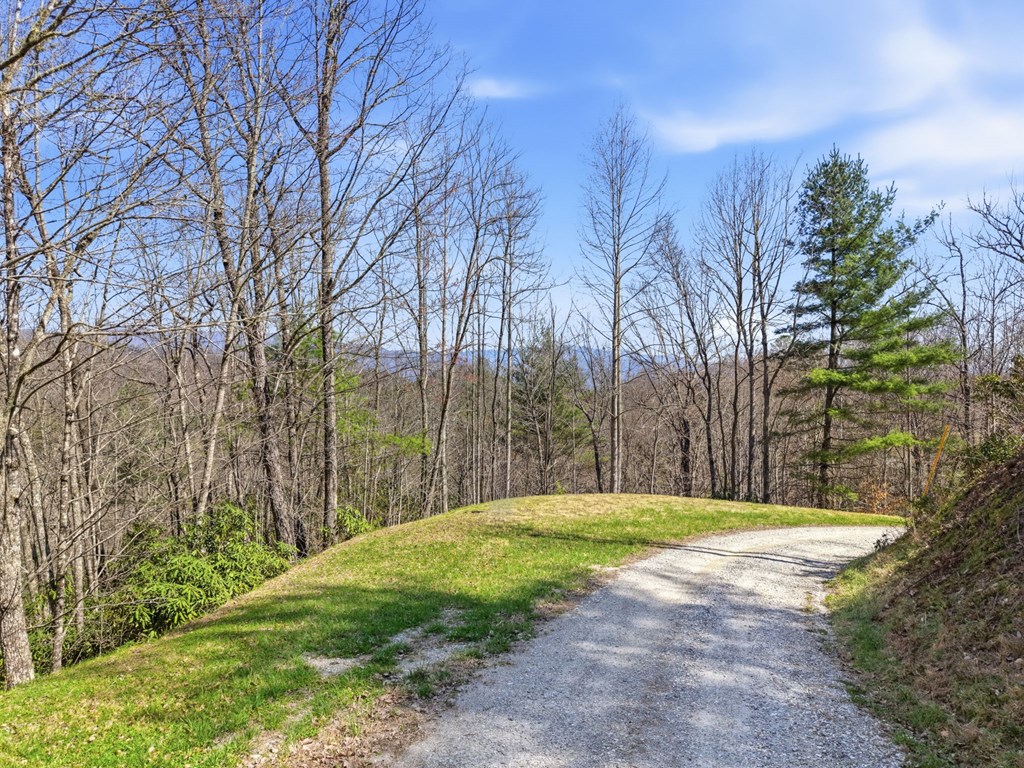 0 Double Springs Drive