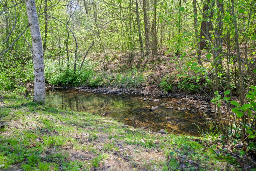 1813 Cedar Creek Farms Road