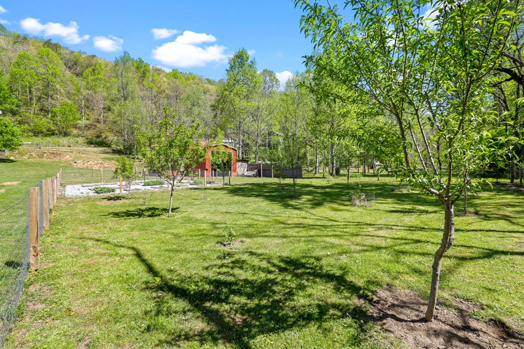 1813 Cedar Creek Farms Road