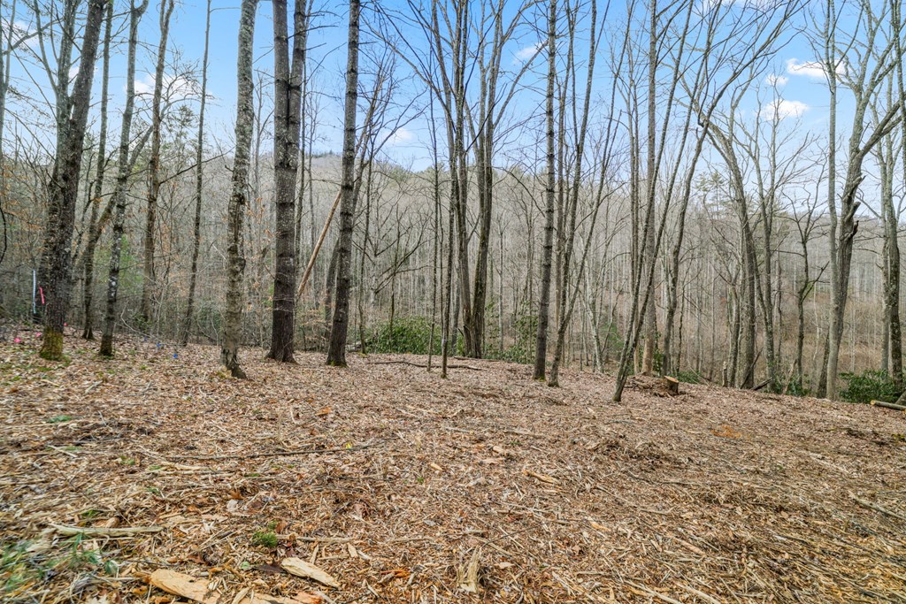 Lot 1 Craig Dr