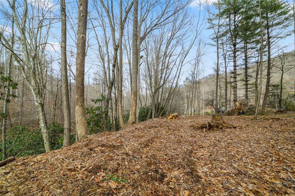 Lot 1 Craig Dr