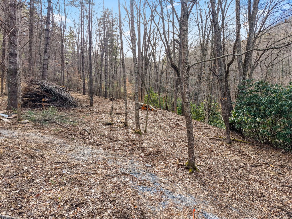 Lot 1 Craig Dr