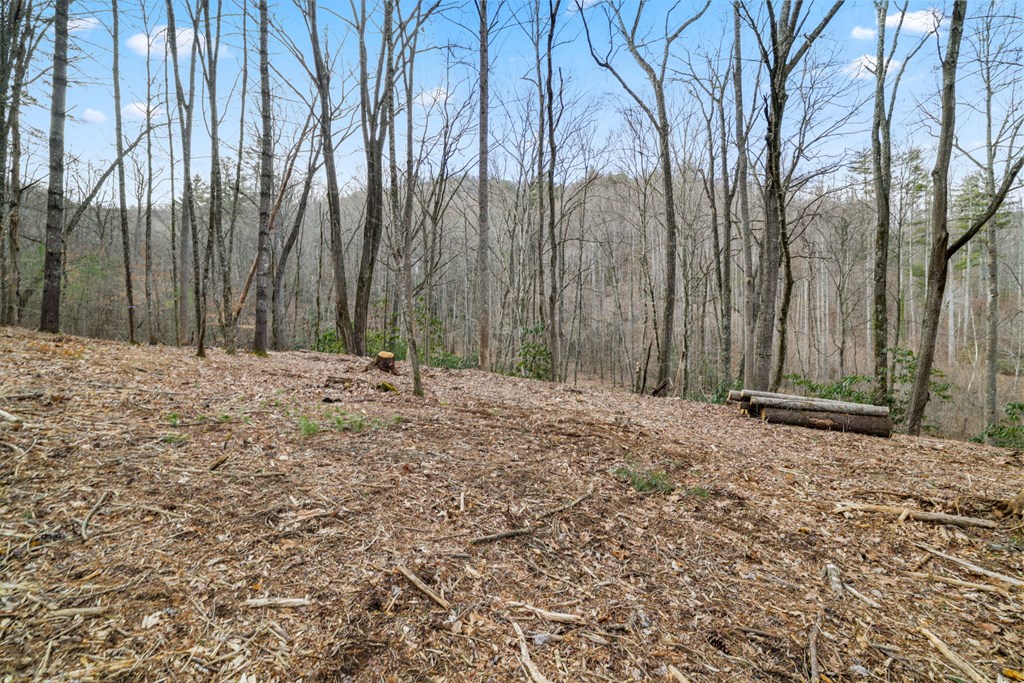 Lot 1 Craig Dr