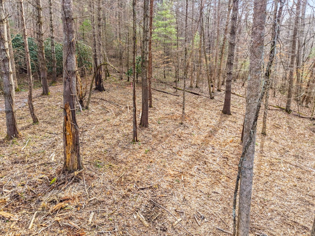 Lot 1 Craig Dr