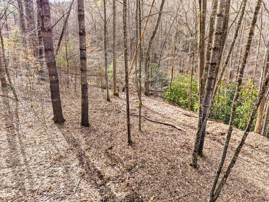Lot 1 Craig Dr