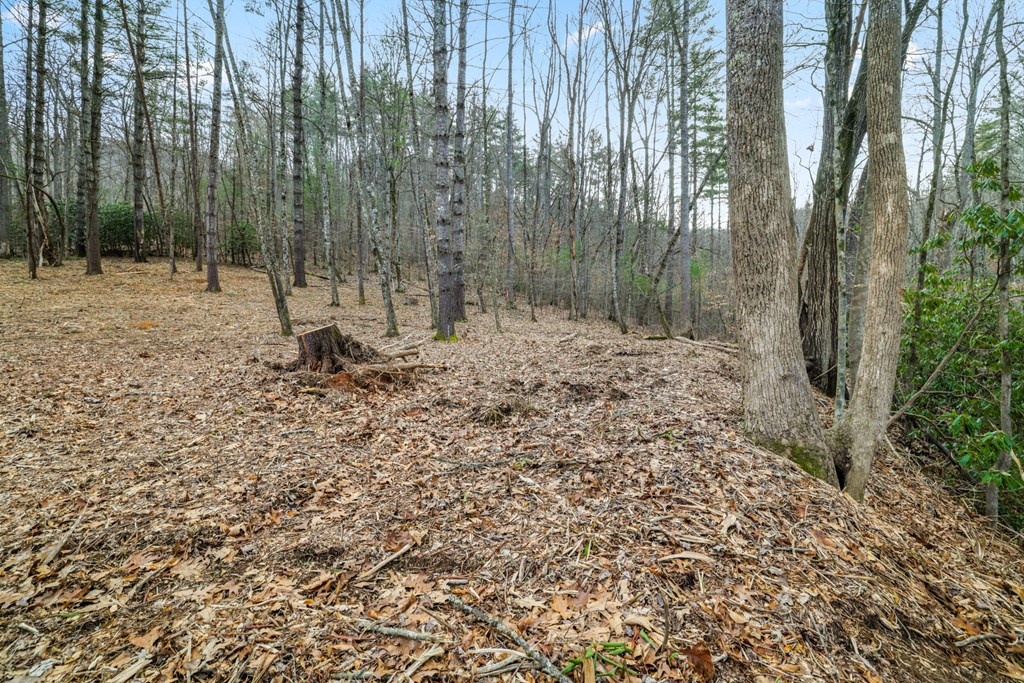 Lot 1 Craig Dr