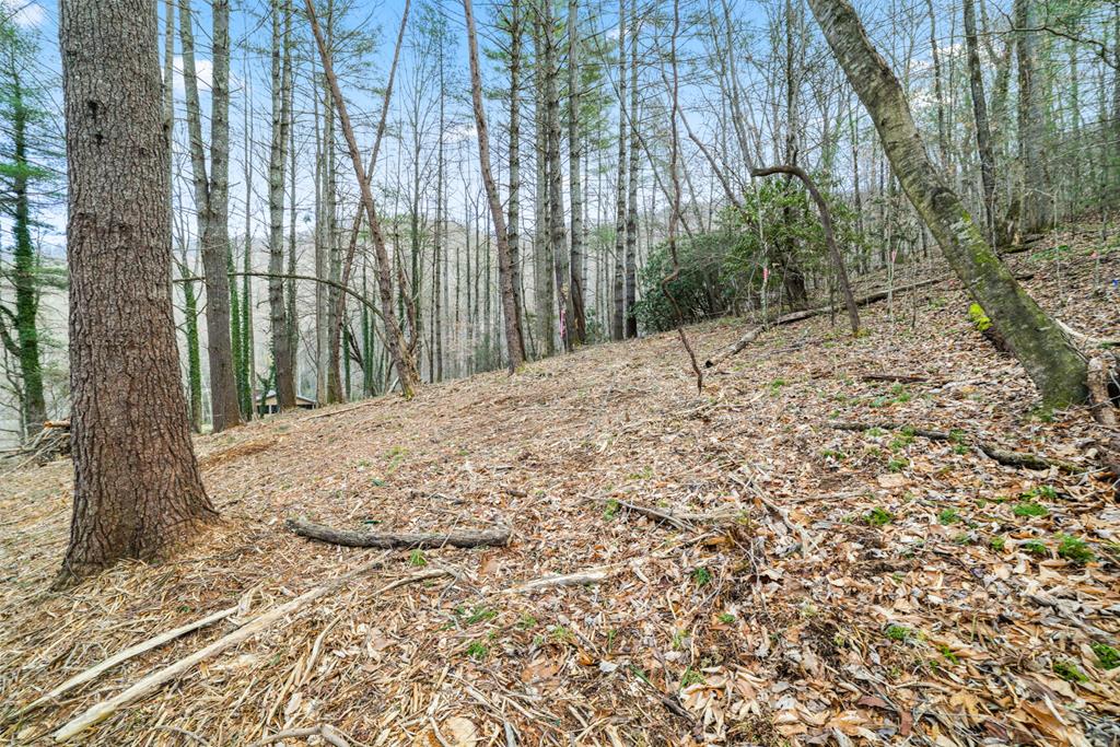 Lot 1 Craig Dr