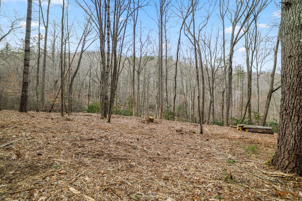 Lot 1 Craig Dr