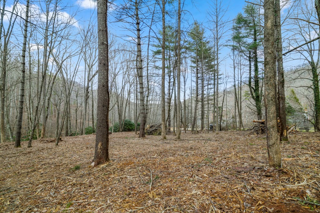 Lot 1 Craig Dr
