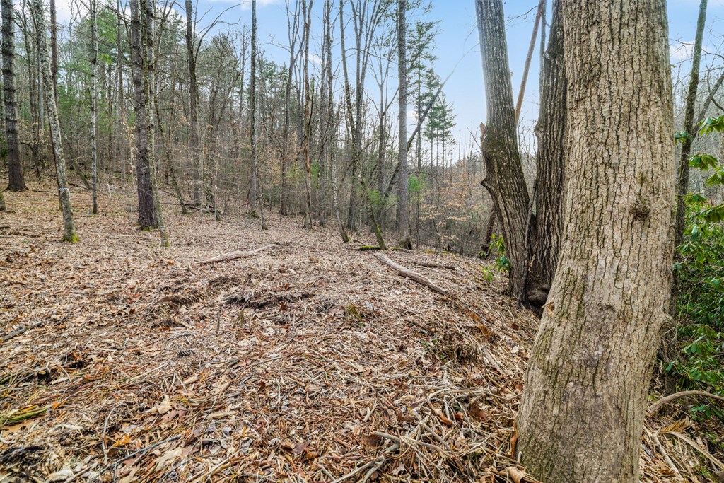Lot 1 Craig Dr