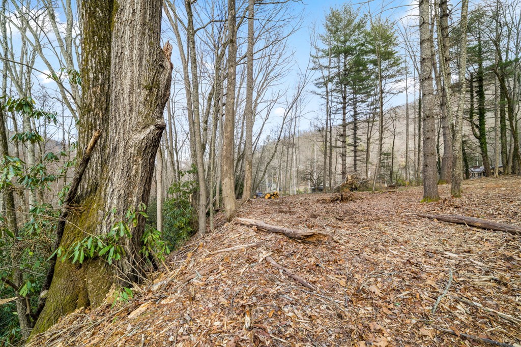 Lot 1 Craig Dr