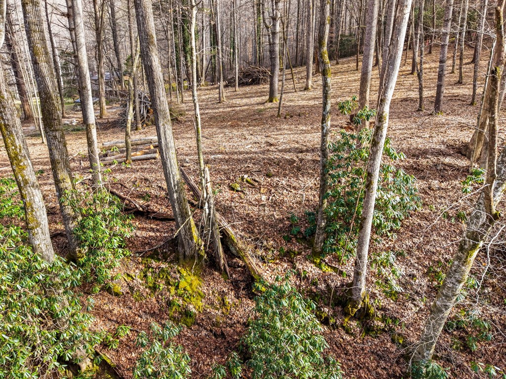 Lot 1 Craig Dr