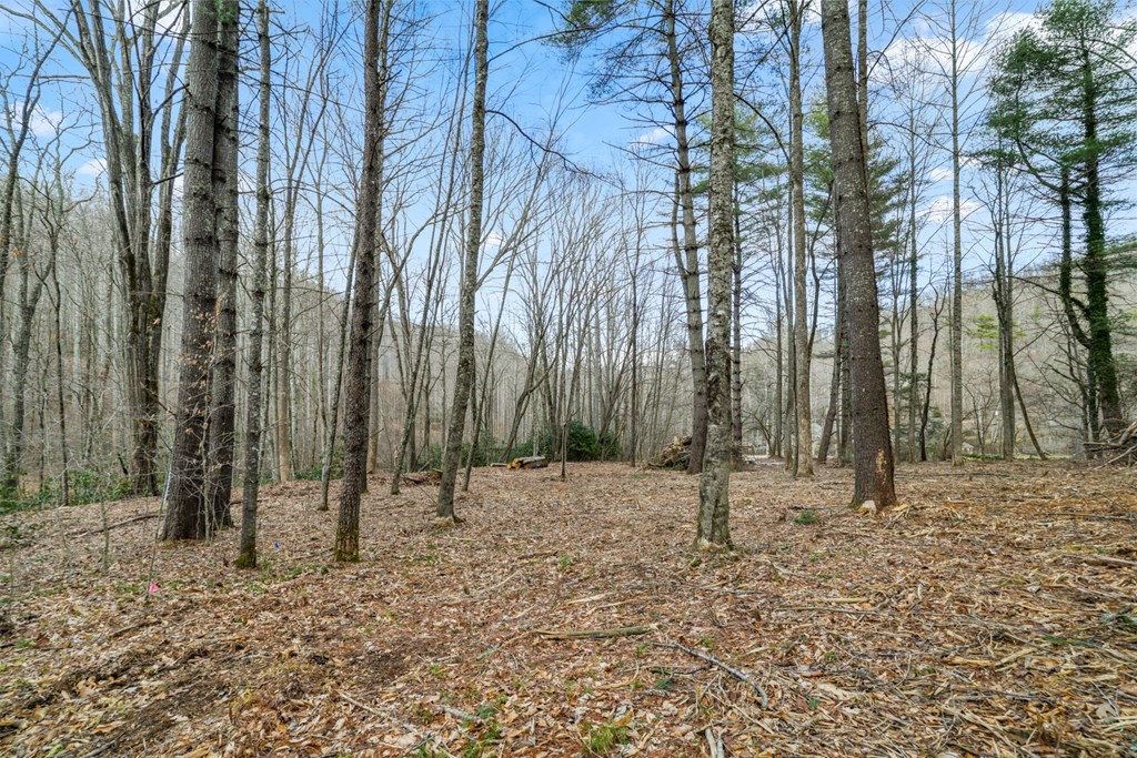 Lot 1 Craig Dr