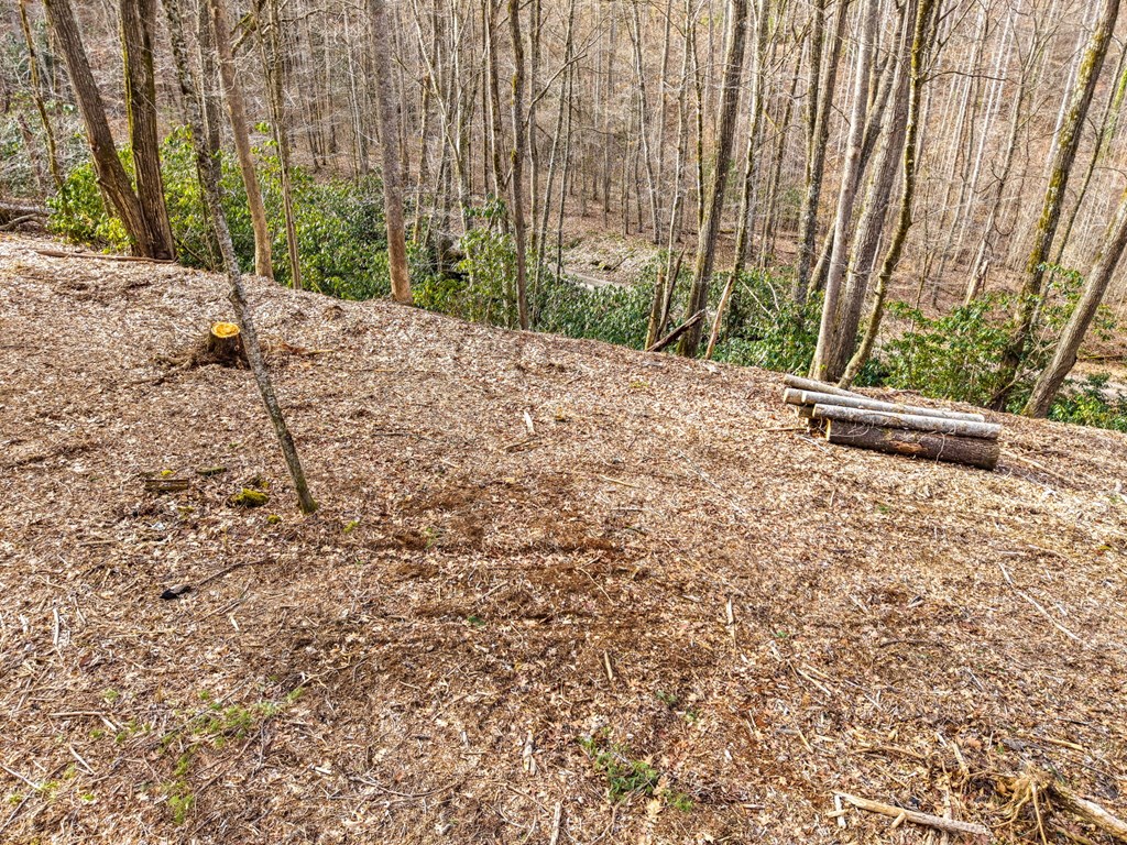 Lot 1 Craig Dr