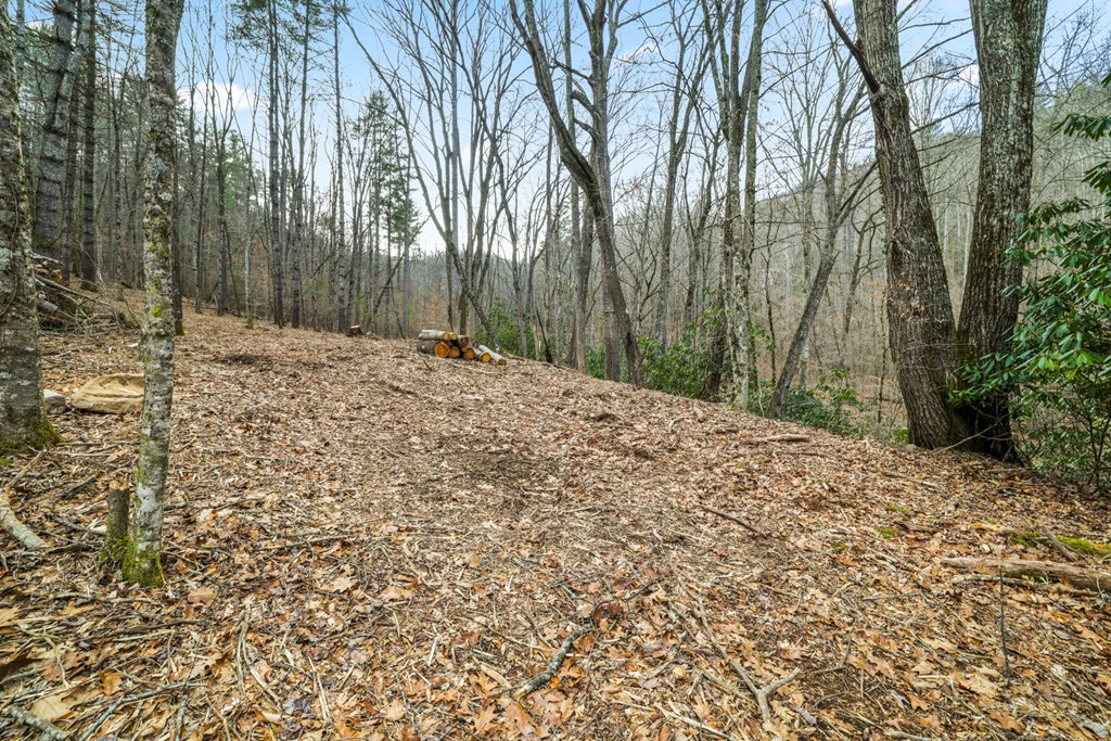 Lot 1 Craig Dr
