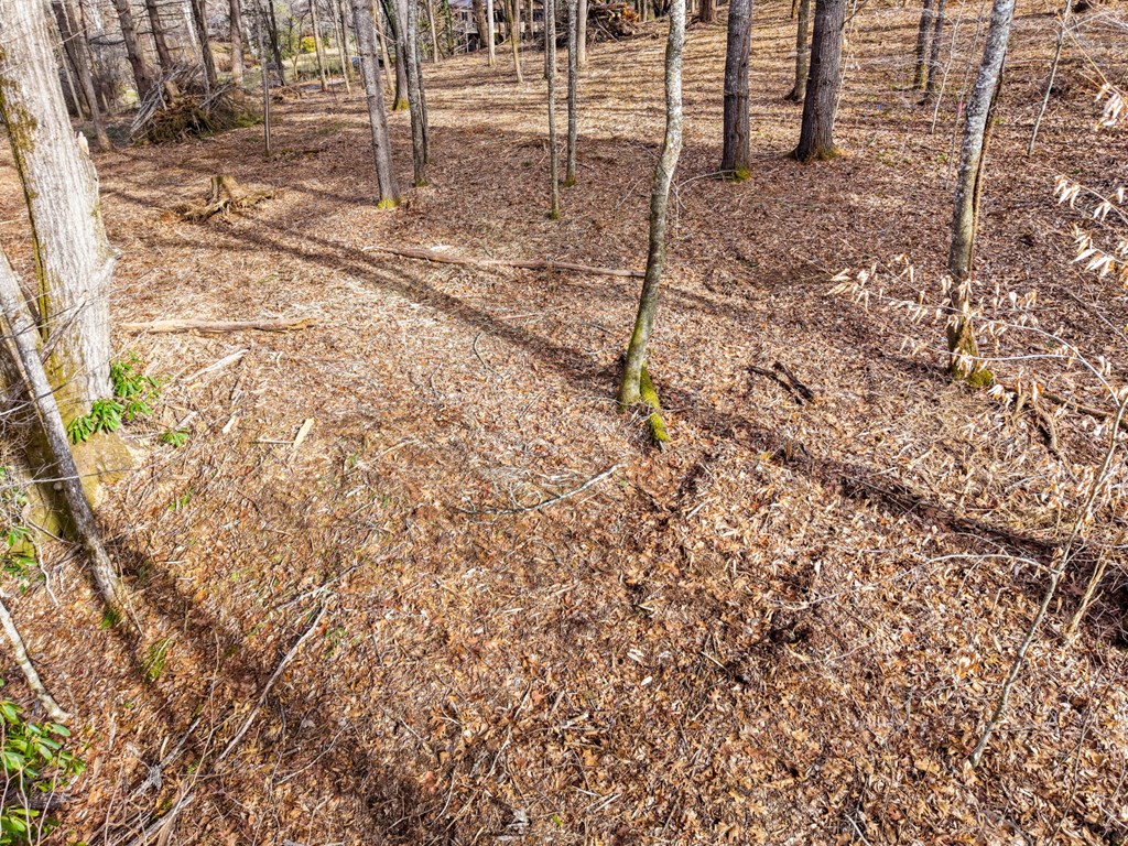 Lot 1 Craig Dr