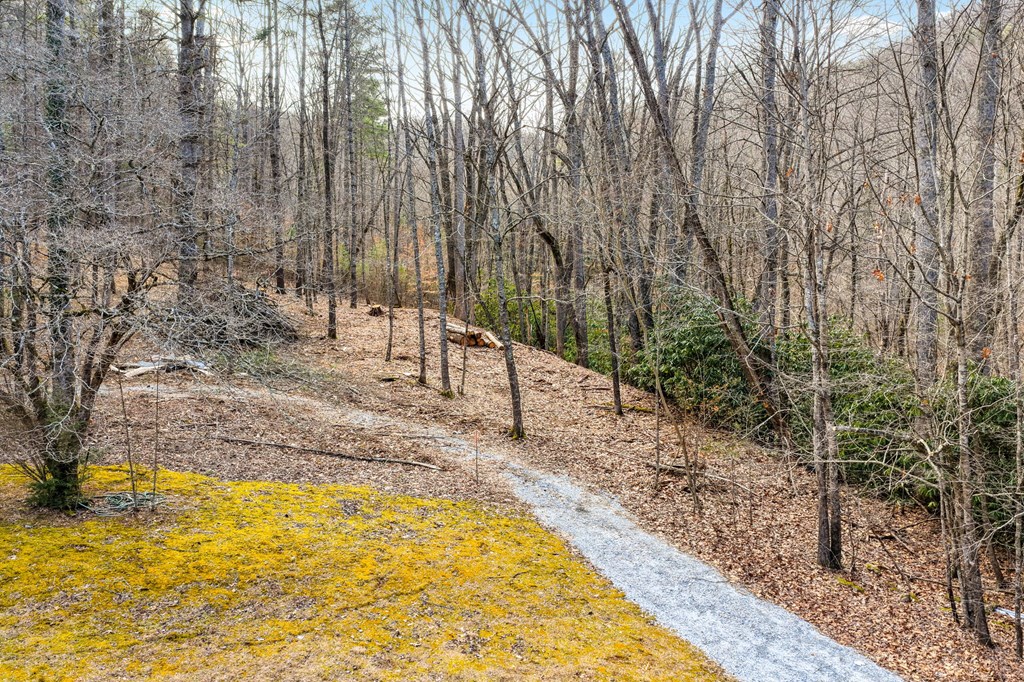 Lot 1 Craig Dr