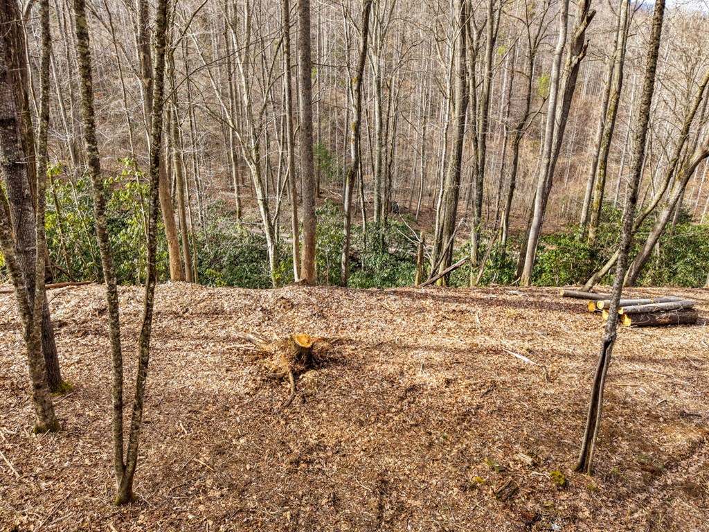 Lot 1 Craig Dr