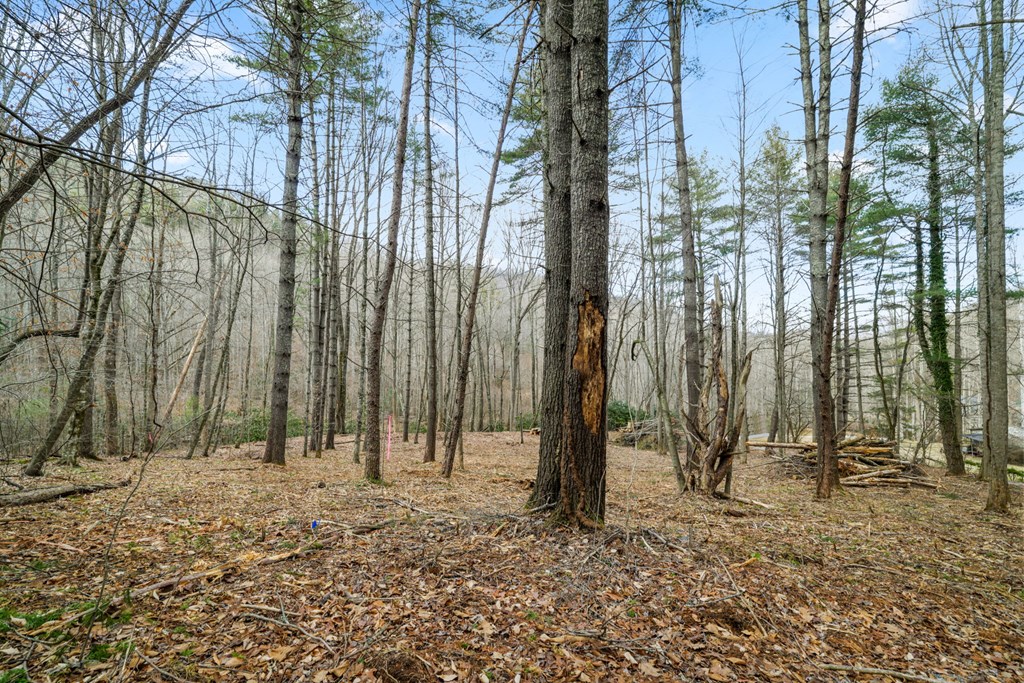Lot 3 Craig Dr