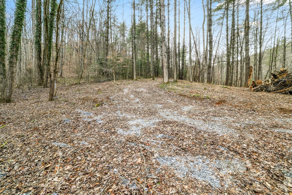 Lot 3 Craig Dr