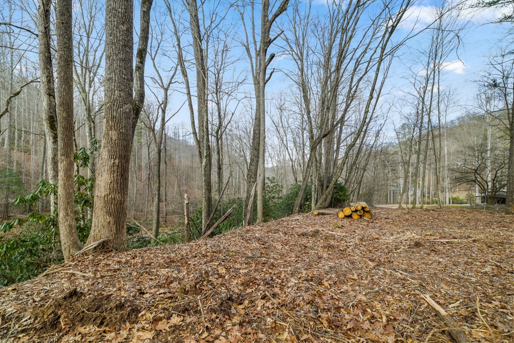 Lot 3 Craig Dr