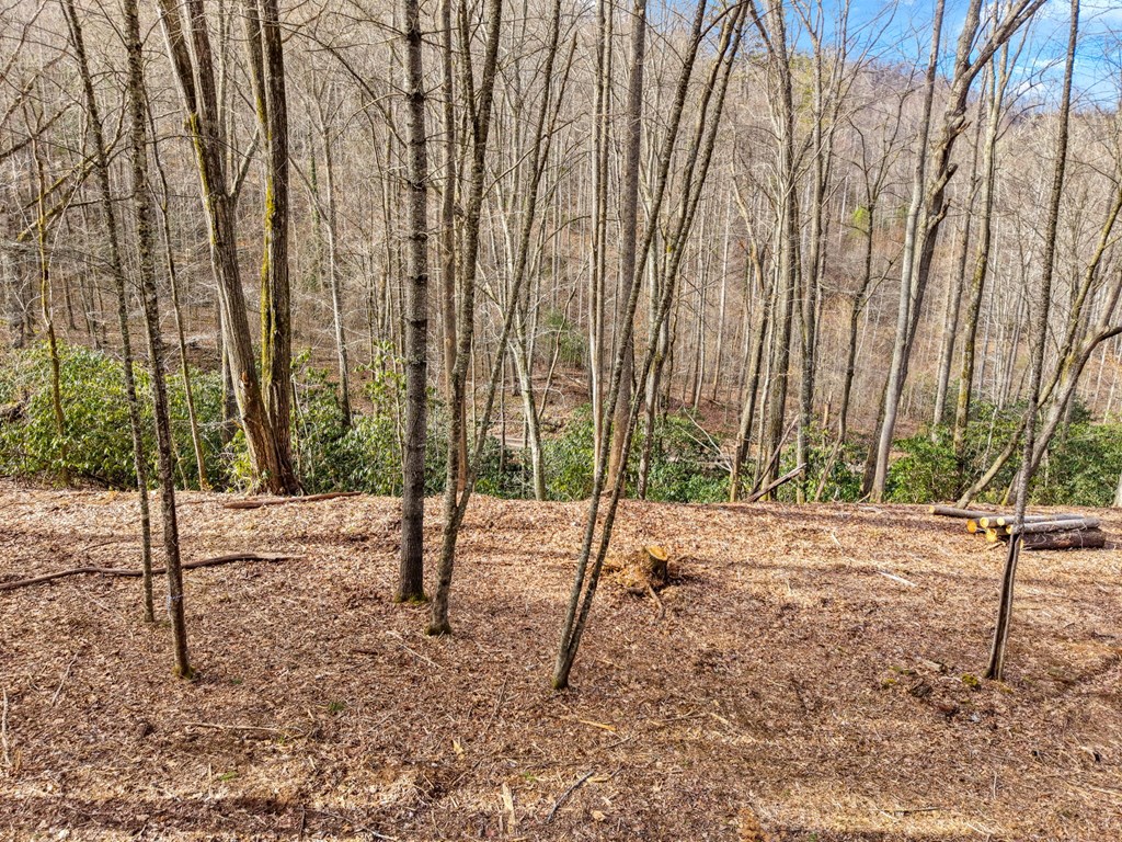 Lot 3 Craig Dr