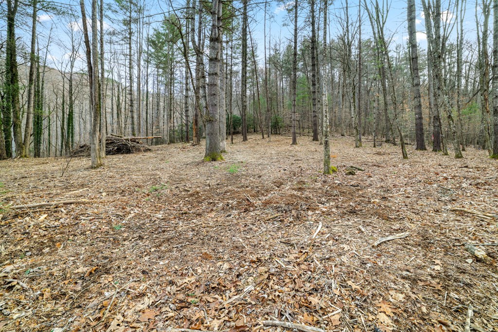 Lot 3 Craig Dr