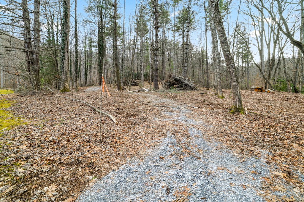 Lot 3 Craig Dr