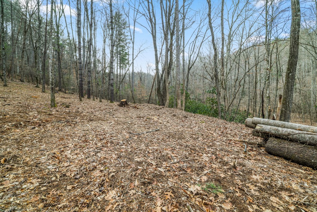 Lot 3 Craig Dr