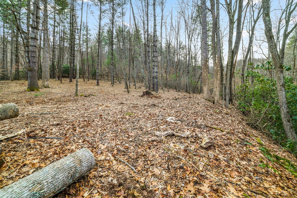 Lot 3 Craig Dr