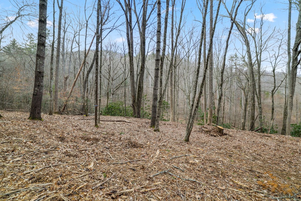 Lot 3 Craig Dr