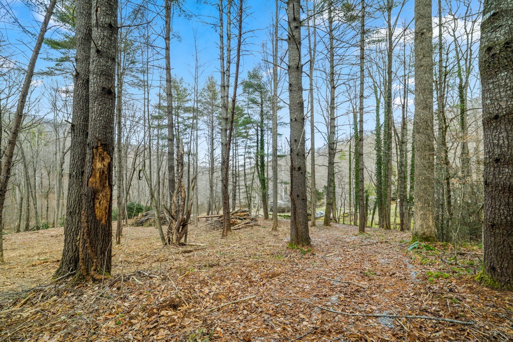 Lot 3 Craig Dr