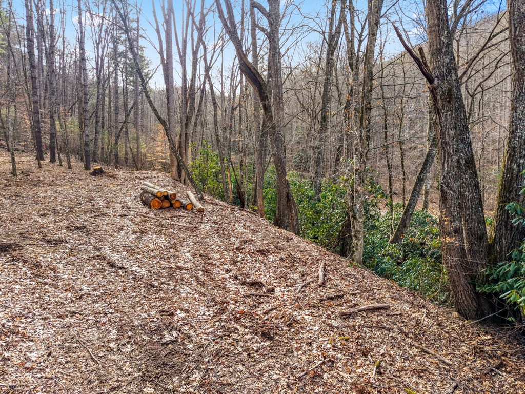 Lot 3 Craig Dr