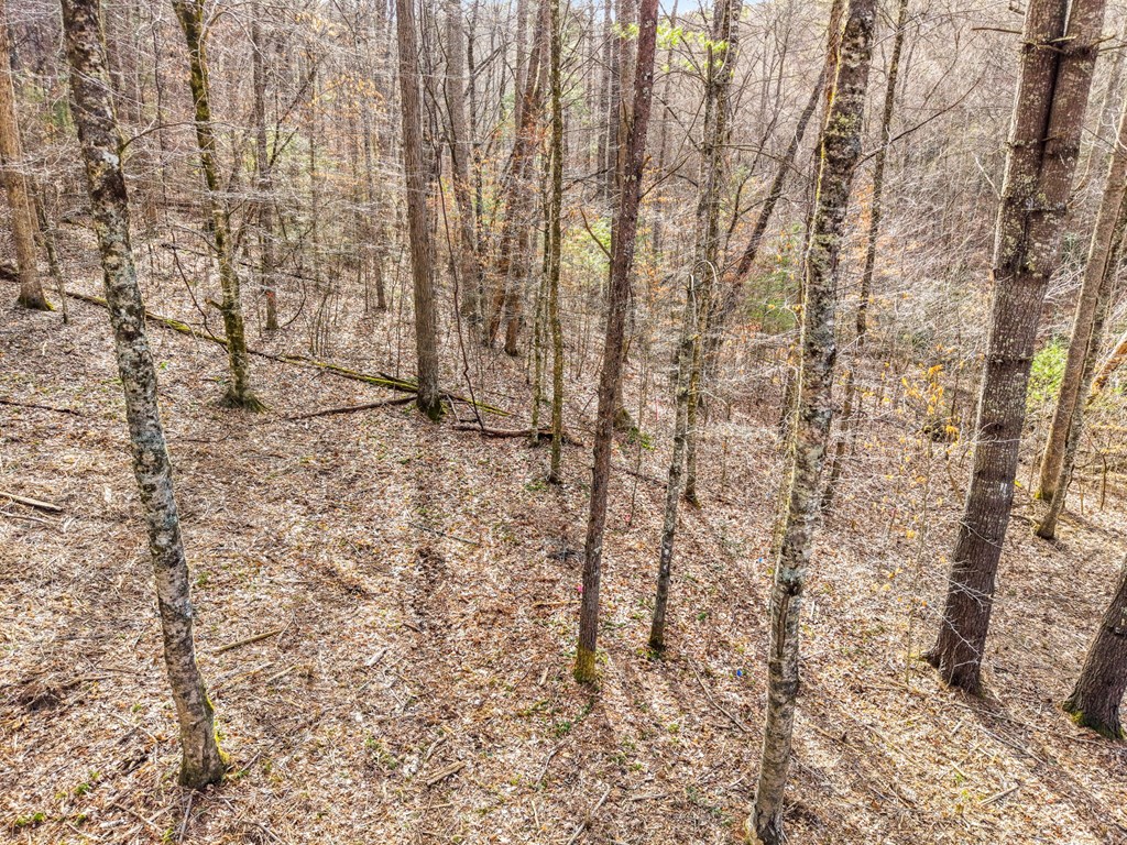 Lot 3 Craig Dr