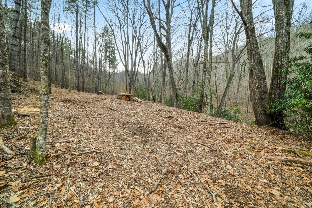 Lot 3 Craig Dr