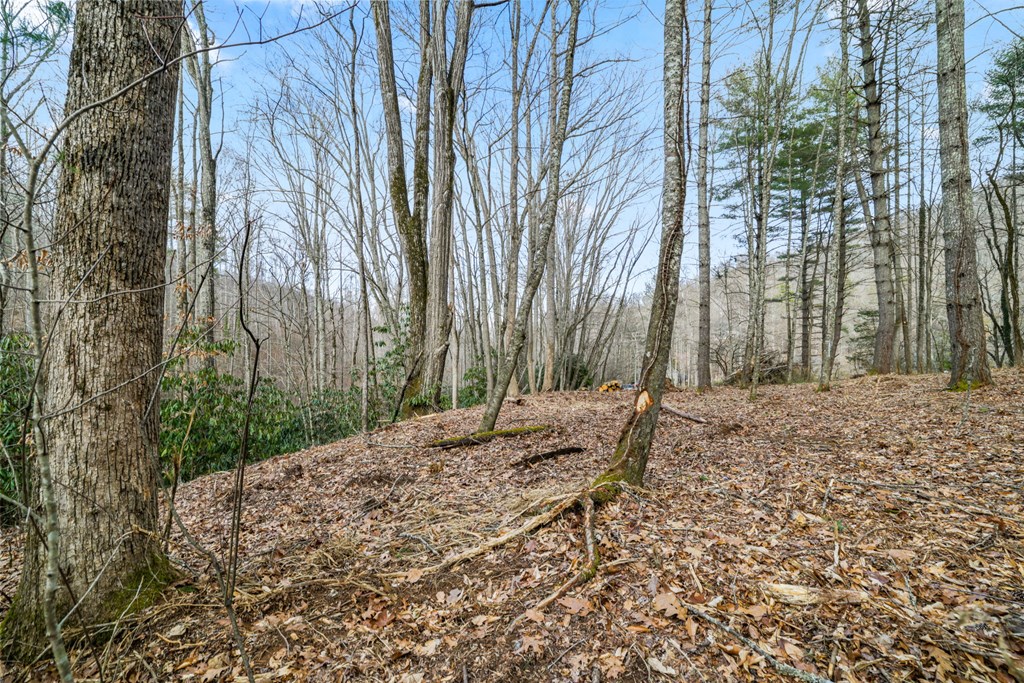 Lot 3 Craig Dr
