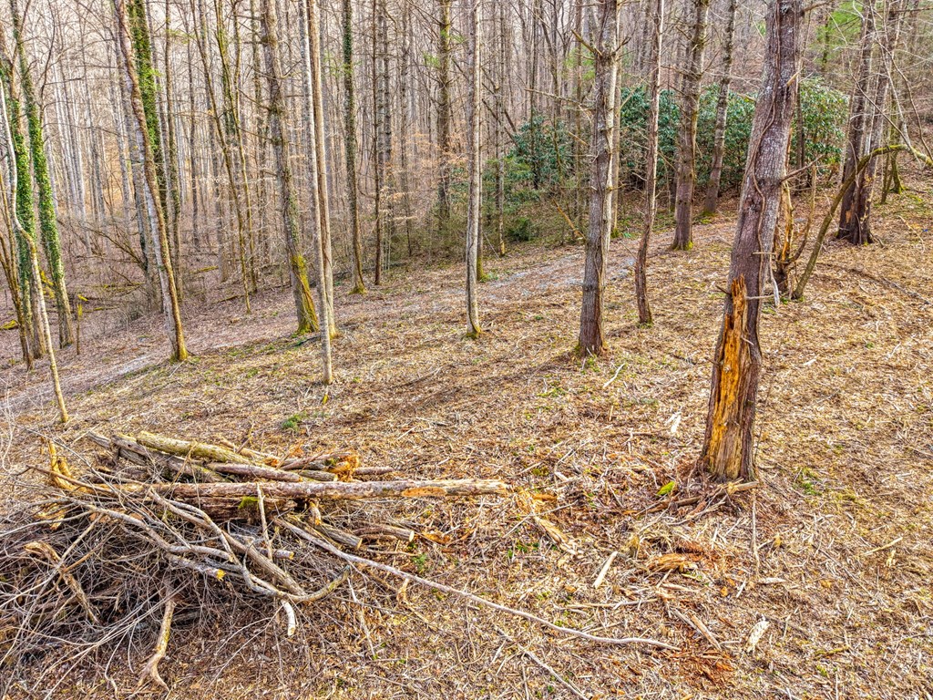 Lot 2 Craig Dr