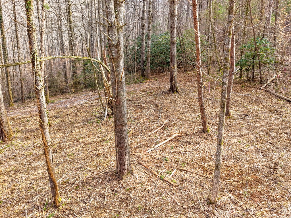 Lot 2 Craig Dr