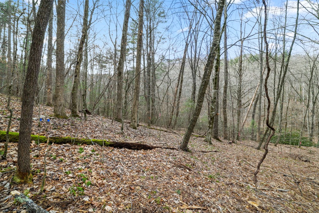 Lot 2 Craig Dr