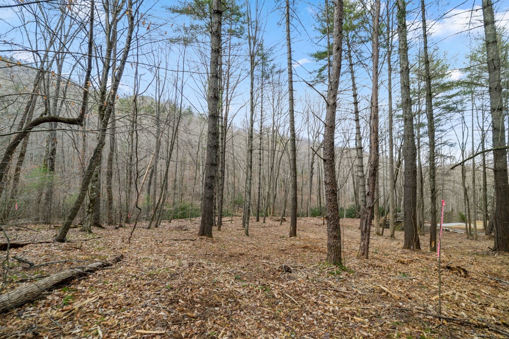 Lot 2 Craig Dr