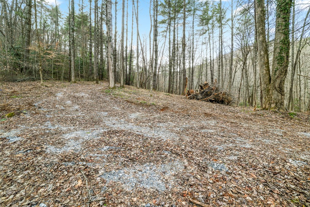 Lot 2 Craig Dr