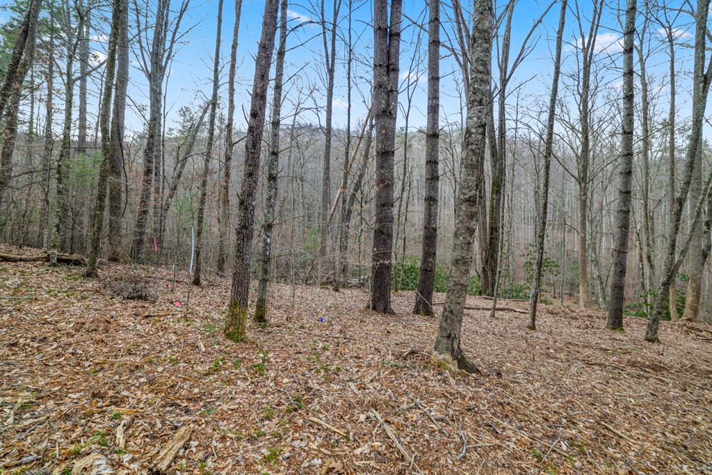 Lot 2 Craig Dr