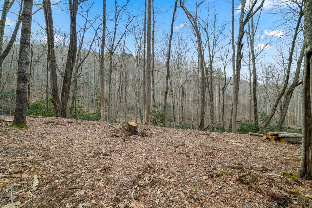 Lot 2 Craig Dr