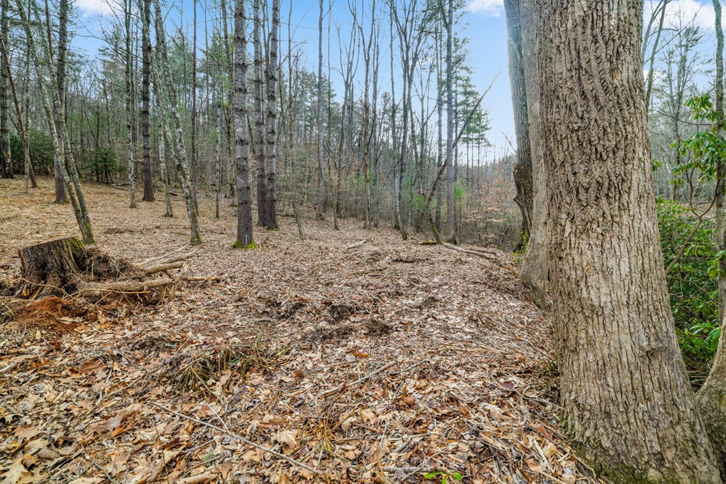 Lot 2 Craig Dr