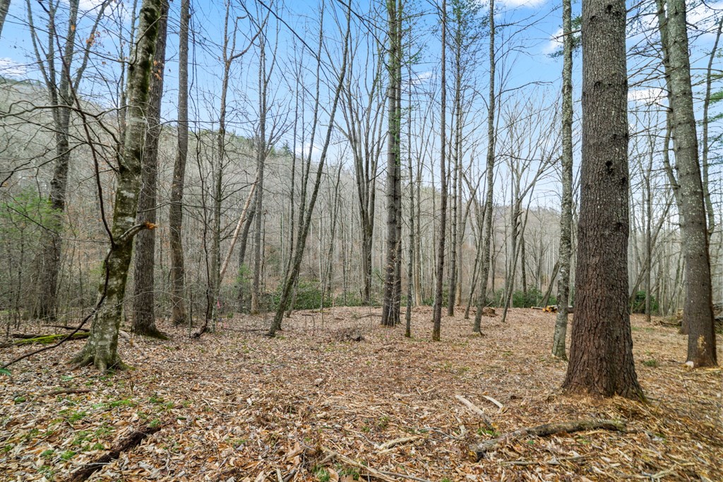 Lot 2 Craig Dr