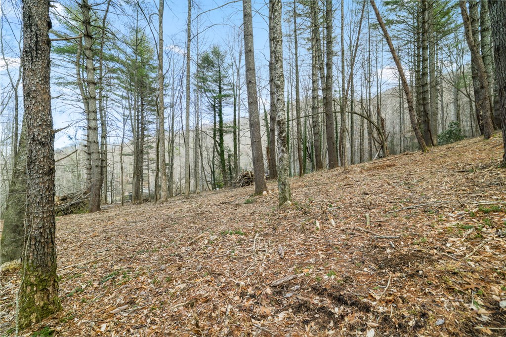 Lot 2 Craig Dr