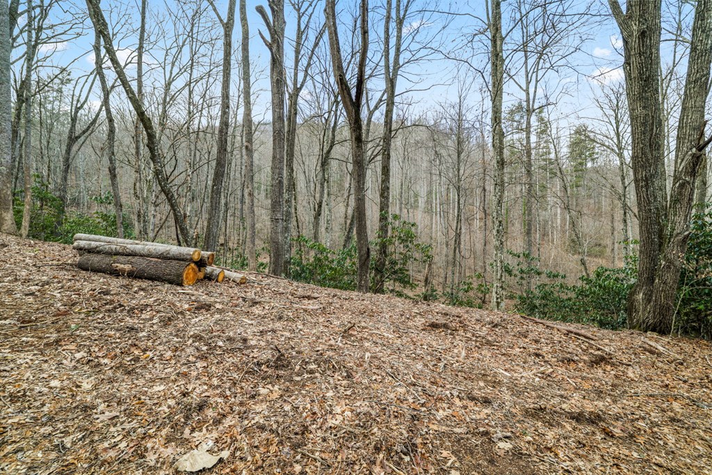 Lot 2 Craig Dr
